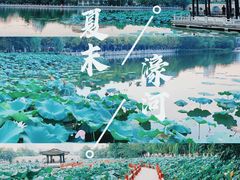 -南通濠河风景名胜区