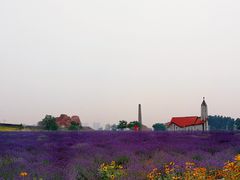 -西海岸生态观光园