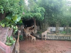 -长鹿旅游休博园