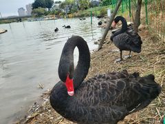 -琅岐红光湖公园