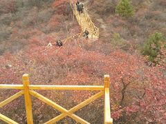 -水峪民俗村