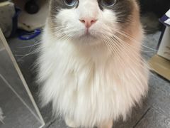 -零纪元VR体验馆·桌游(黄浦店)