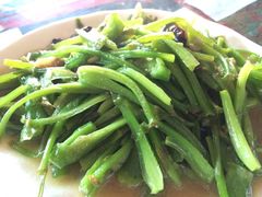 泸沽肴-泸沽肴(泸沽湖大洛水村农村信用社旁店)