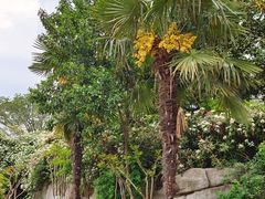 -天鹅湖体育公园