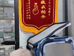 -瑞派天使宠物医院·神经外科·骨科·核磁(洛川中路店)