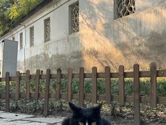 -西园戒幢律寺