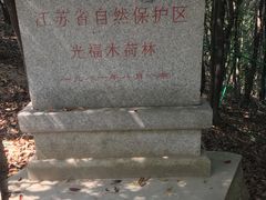 -香雪海