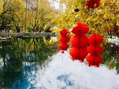 -宗角禄康公园