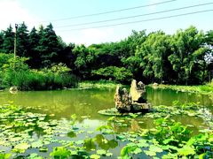 -洛阳市隋唐城遗址植物园