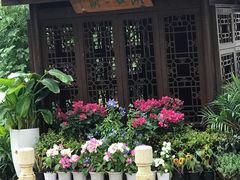 -苏州上方山国家森林公园