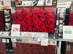-Bic Camera (难波店)