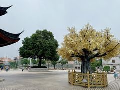 -广东圆玄道观