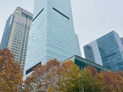 -重庆市江北嘴中央商务区中央公园