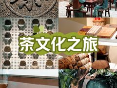 -中国茶叶博物馆(双峰馆区)