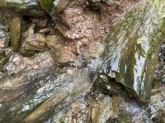 -素山寺森林公园