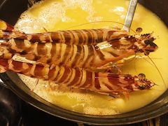 -鲜入围煮花胶鸡海鲜火锅