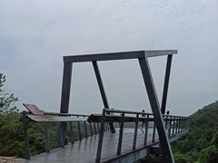 -阳台山森林公园