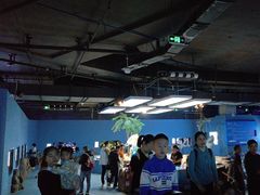 -重庆欢乐海底世界