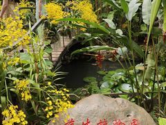 -中国科学院西双版纳热带植物园