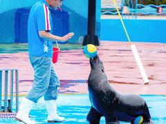 -汕头蓝水星欢乐世界