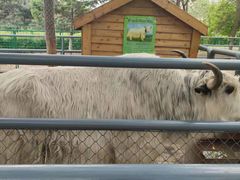 -长白岛森林公园