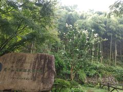 -莫干山风景区
