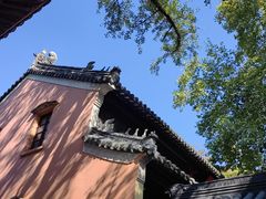 -灵谷景区