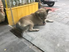 -五进制 Coffee Shop