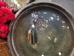 -郭家大院(新源店)