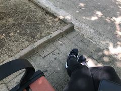 -九龙公园