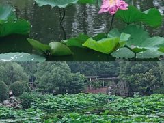 -郑和公园