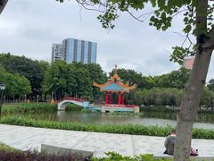 -金砂公园