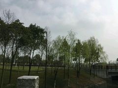 -尚贤河湿地