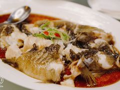 清蒸白水鱼-洋洋中餐馆·SINCE 1997(信投店)
