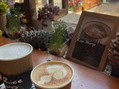 -饵块食光·云南有机手作饵块