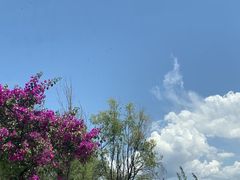 -大理洱海