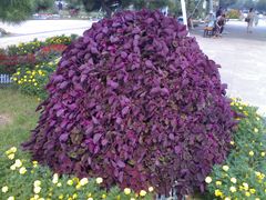 -丁香湖丁香小镇Citypark滑雪公园戏雪嘉年华