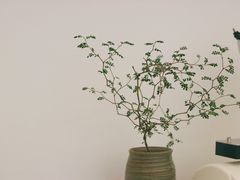 -Onirii Coffee(长乐路店)