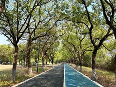 -昆山城市生态森林公园