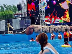 -郑州方特水上乐园