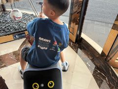 -郑州美盛喜来登大酒店