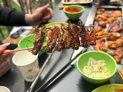 -正宗火盆自助烧烤·烤全羊·柴火鸡(龙泉山店)