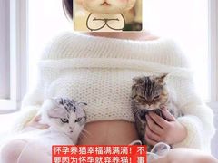 -Bastet sally猫舍购宠(静安店)