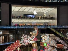 -Apple零售店(天环广场店)