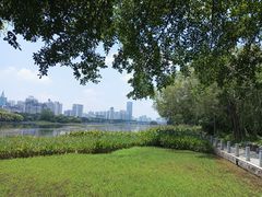 -南宁南湖公园
