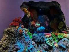 -中国湿地博物馆