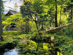 -三千院