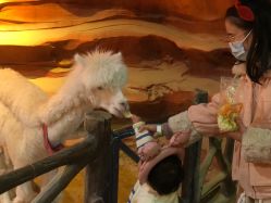 -酷嗒动物文化乐园(cutezoo西溪乐天城店)