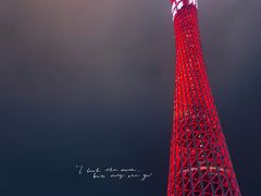 -珠江夜游广州塔·中大码头