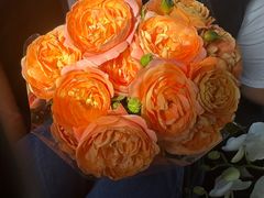 -朝来春花卉市场
